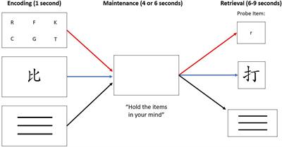 An fMRI analysis of verbal and non-verbal working memory in people with a past history of opioid dependence